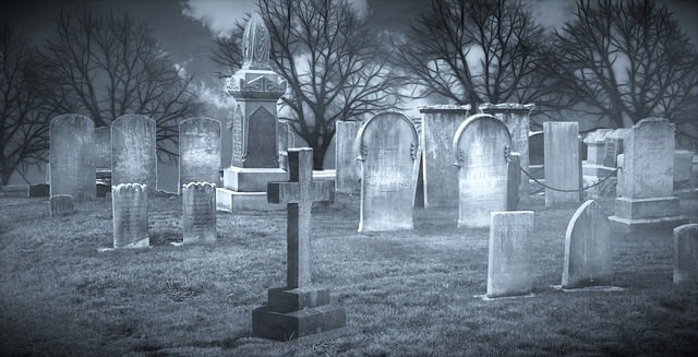shitcoins deadcoins graveyard